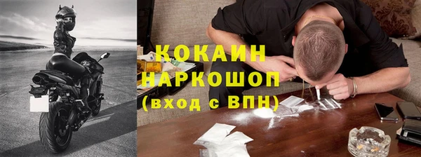 трава Белокуриха